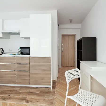 Wilda City Centre Apartament Poznań